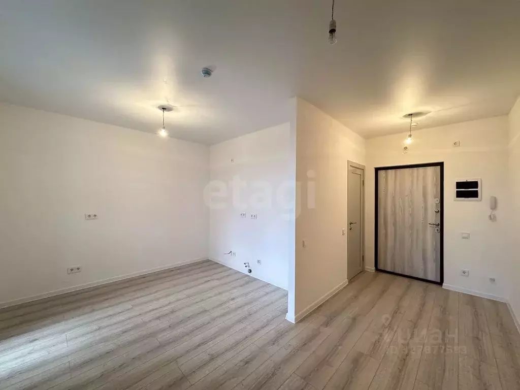 Студия Ленинградская область, Всеволожский район, Заневское городское ... - Фото 1