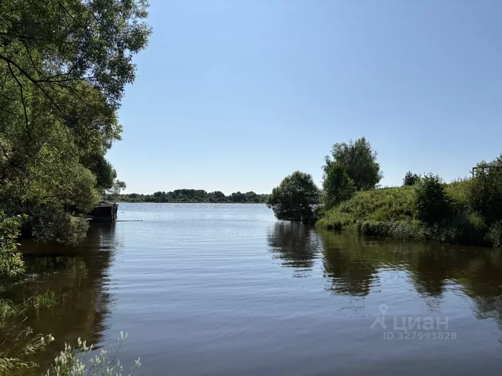 Участок в Ярославская область, Угличский муниципальный округ, с. ... - Фото 1