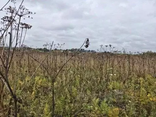 Участок в Московская область, Воскресенск городской округ, д. ... - Фото 2