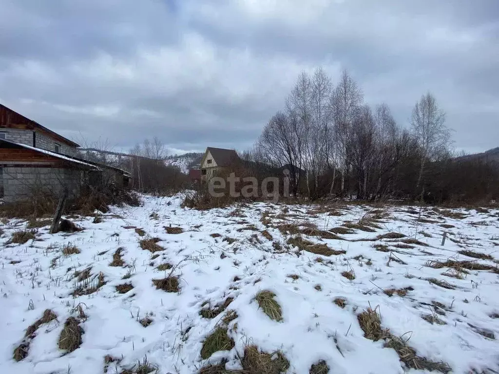 Участок в Алтай, Майминский район, с. Кызыл-Озек ул. Дружбы (8.1 сот.) - Фото 0