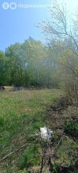 Участок в Дмитриевский сельсовет, СНТ Лесное, 61/1 (6 м) - Фото 1