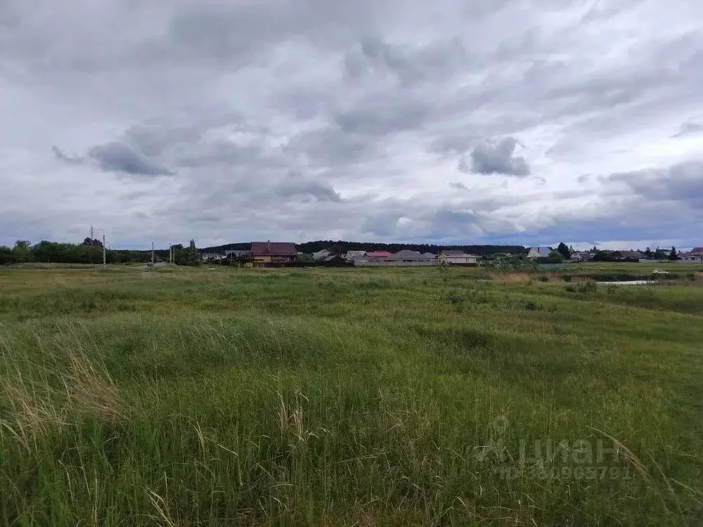 Участок в Ульяновская область, Чердаклинский район, Красноярское ... - Фото 2