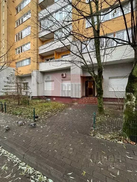 Помещение свободного назначения в Калининградская область, Калининград ... - Фото 0