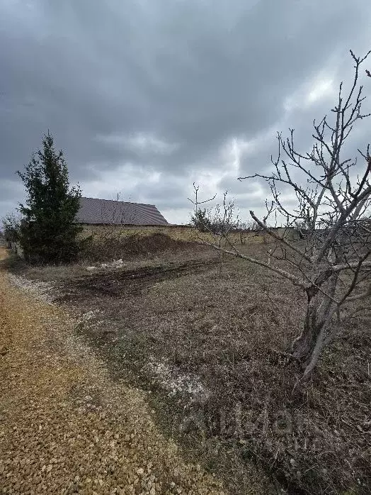 Участок в Крым, Симферопольский район, Трудовское с/пос, СНТ Медик ТСН ... - Фото 2
