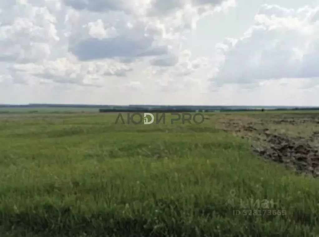 Участок в Башкортостан, Уфимский район, Таптыковский сельсовет, д. ... - Фото 1