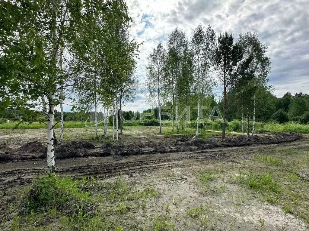 Участок в Тюменская область, Тюменский район, д. Головина  (10.0 сот.) - Фото 0