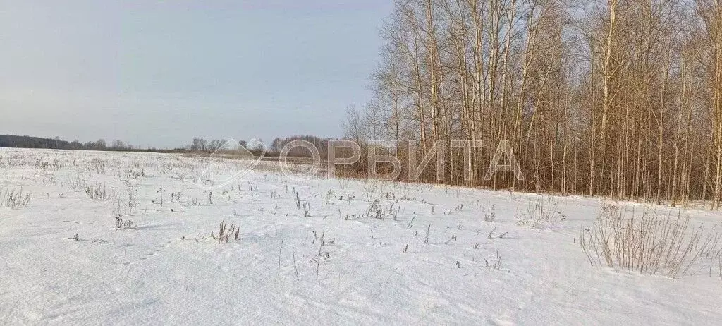 Участок в Тюменская область, Тюменский район, с. Салаирка  (10.0 сот.) - Фото 1
