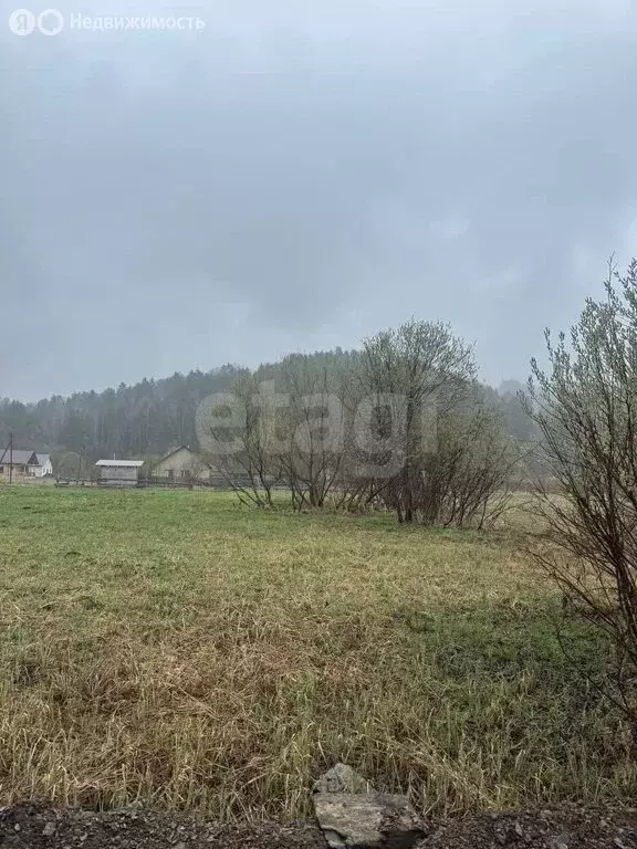 Участок в Майминский район, посёлок Филиал, улица Мира (10 м) - Фото 1