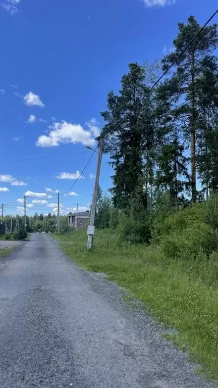 Участок в Ленинградская область, Сертолово Всеволожский район, Сияние ... - Фото 1