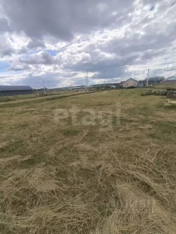 Участок в Новосибирская область, Новосибирский район, Толмачевский ... - Фото 1