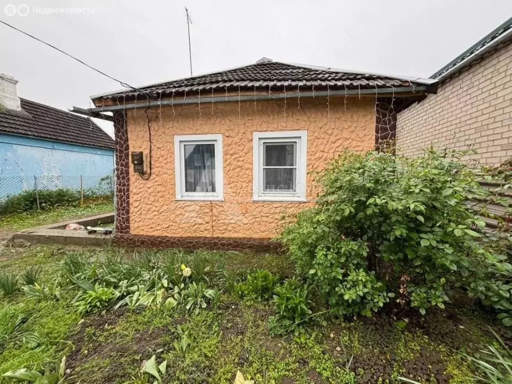 Дом в Новопавловск, улица Мира (35 м) - Фото 0