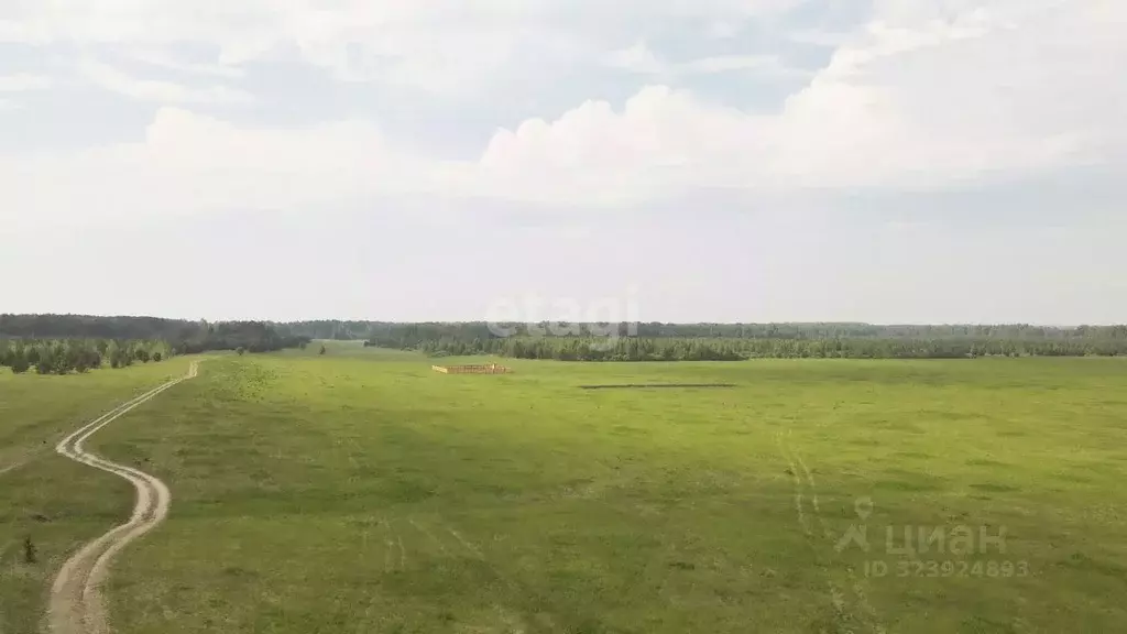 Участок в Тюменская область, Тюменский муниципальный округ, Каменское ... - Фото 1