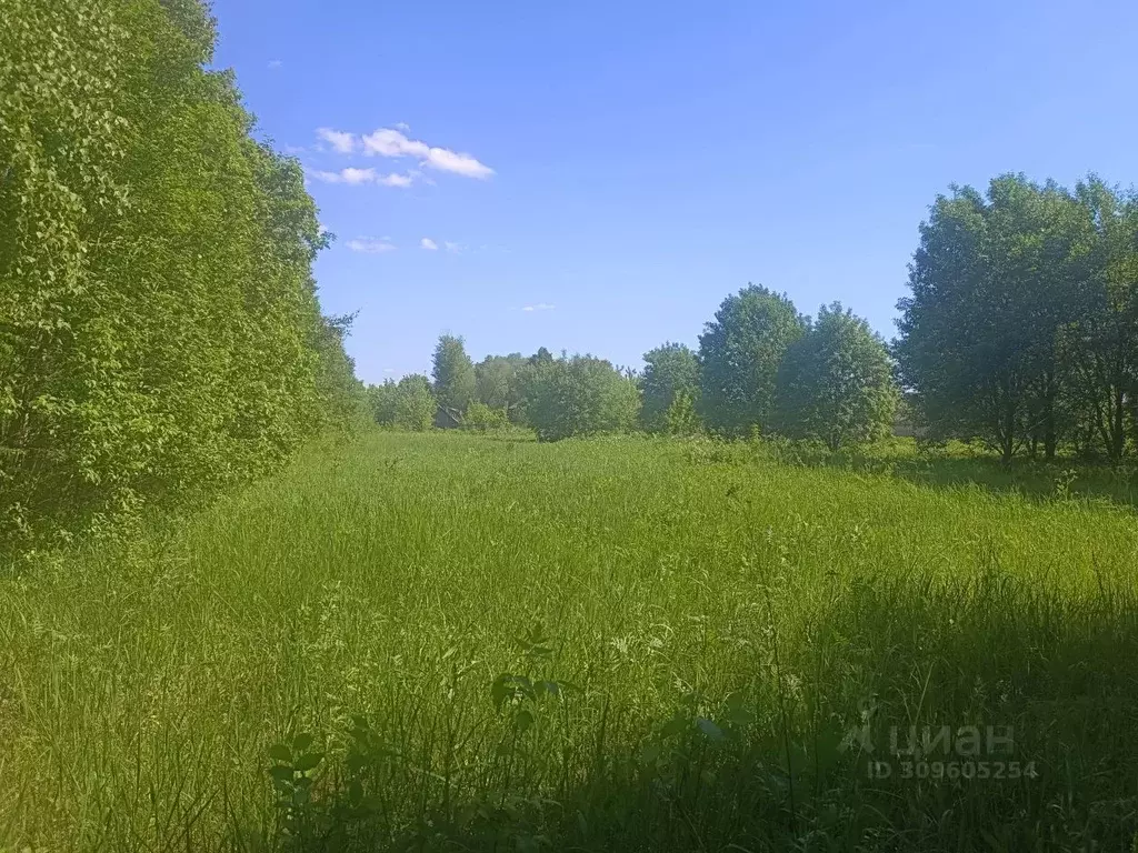 Участок в Московская область, Коломна городской округ, с. Октябрьское  ... - Фото 1