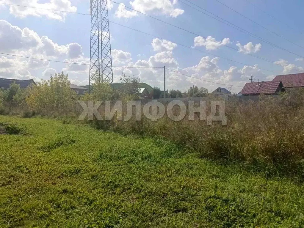 Участок в Новосибирская область, Новосибирский район, с. Толмачево ул. ... - Фото 1