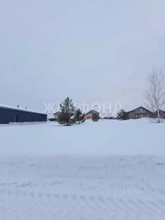 Участок в Новосибирская область, Мошковский район, пос. Октябрьский, ... - Фото 2