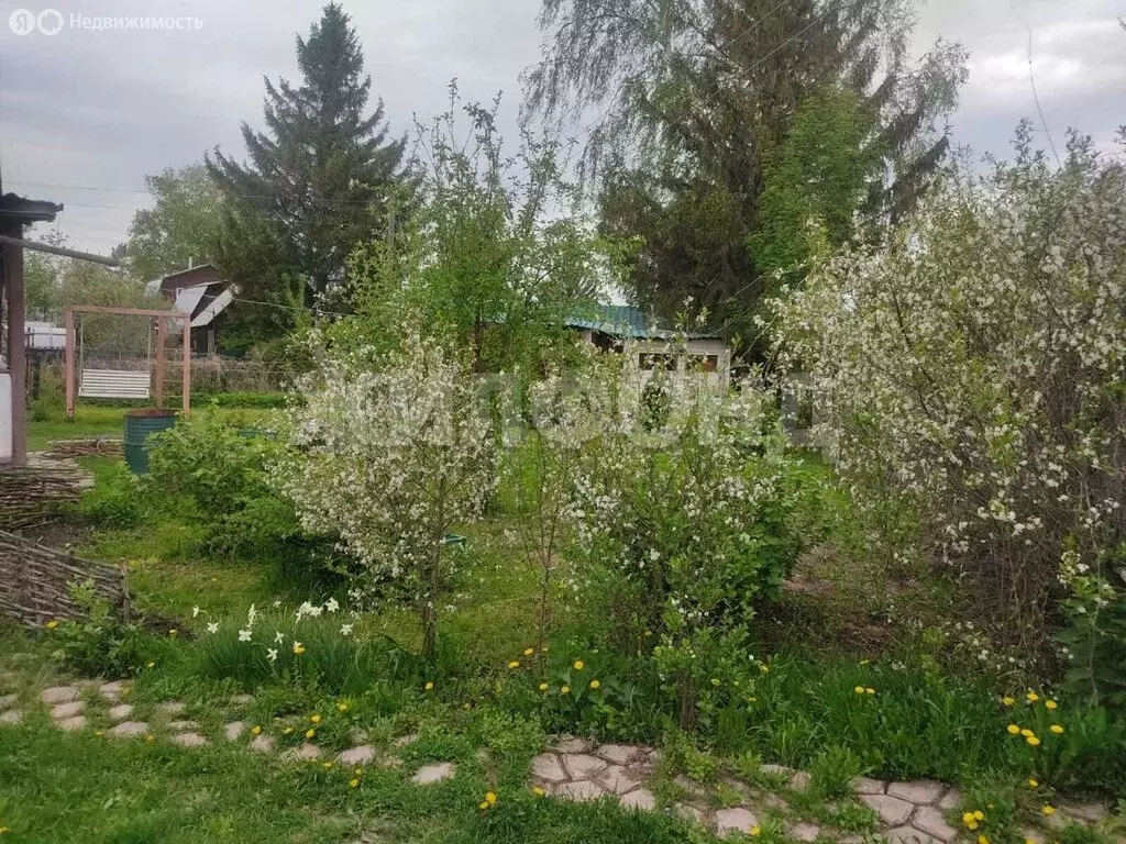 Дом в дачный посёлок Кудряшовский, Лесная улица (36 м) - Фото 1