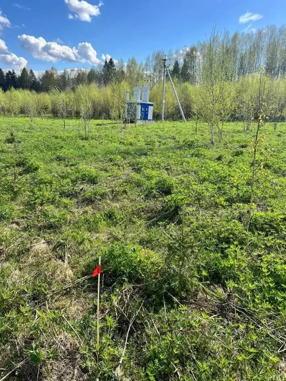 Участок в Пермский край, Пермский муниципальный округ, д. Сухая  (10.0 ... - Фото 1