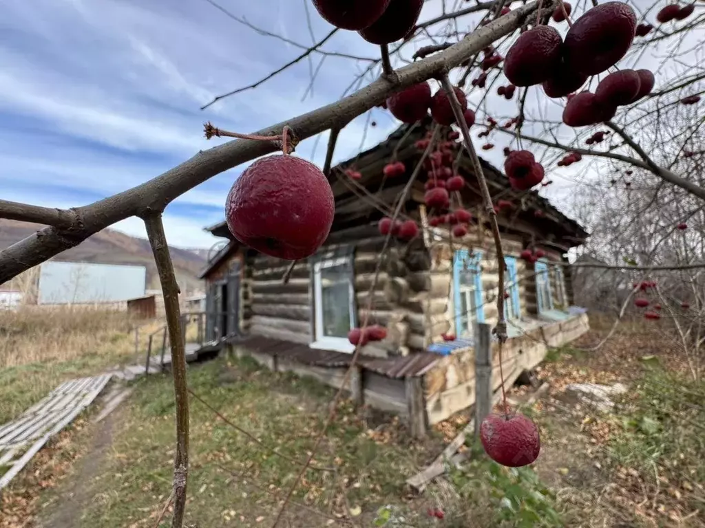 Участок в Алтай, Усть-Коксинский район, с. Усть-Кокса Советская ул. ... - Фото 1