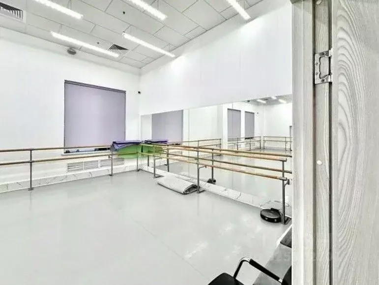 Помещение свободного назначения в Санкт-Петербург Дунайский просп., ... - Фото 2