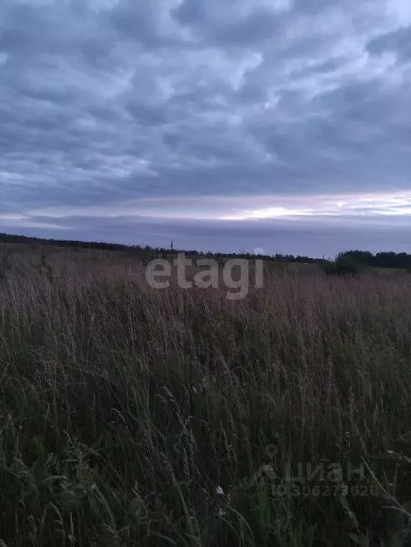 Участок в Челябинская область, Красноармейский район, Козыревское ... - Фото 0