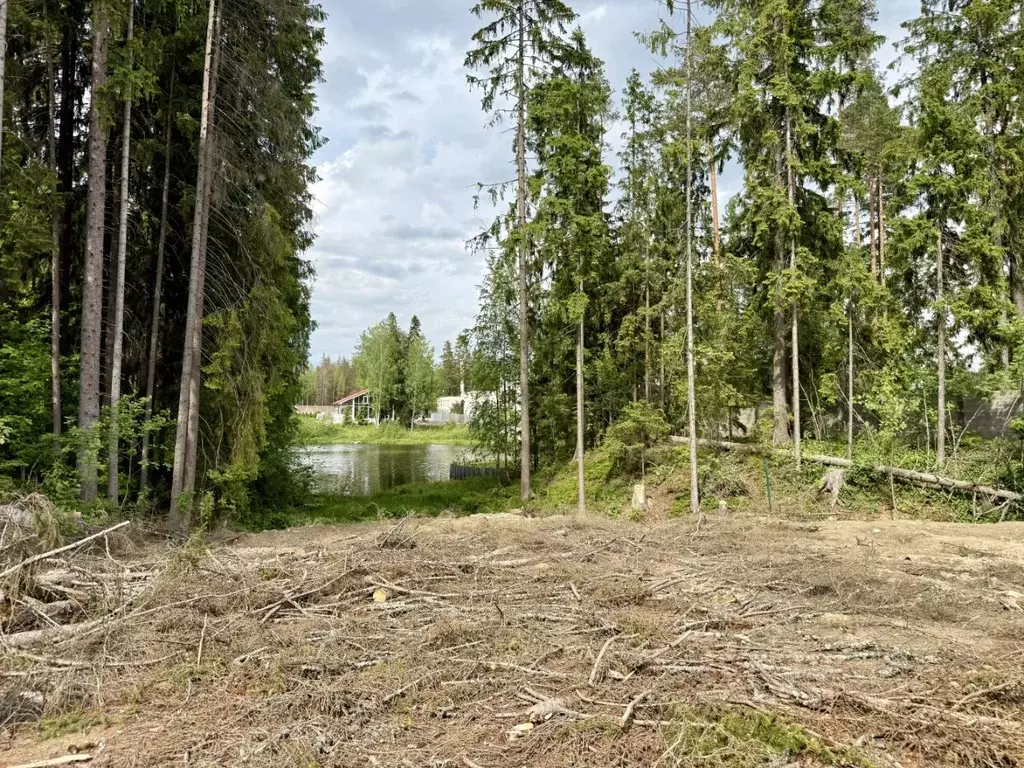 Участок в Ленинградская область, Выборгский район, Рощино городской ... - Фото 2