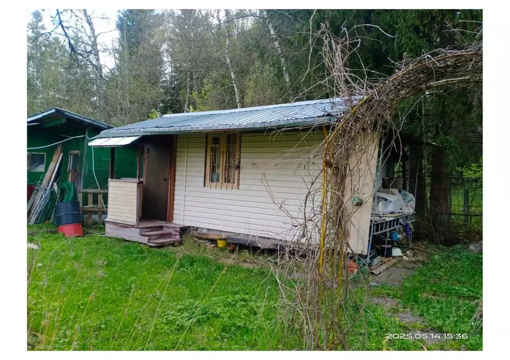 Участок в Московская область, Рузский муниципальный округ, Лесная ... - Фото 2