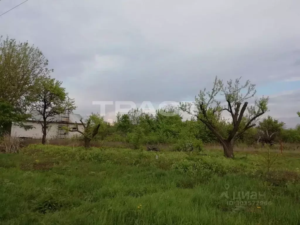 Участок в Воронежская область, Новоусманский район, ... - Фото 0