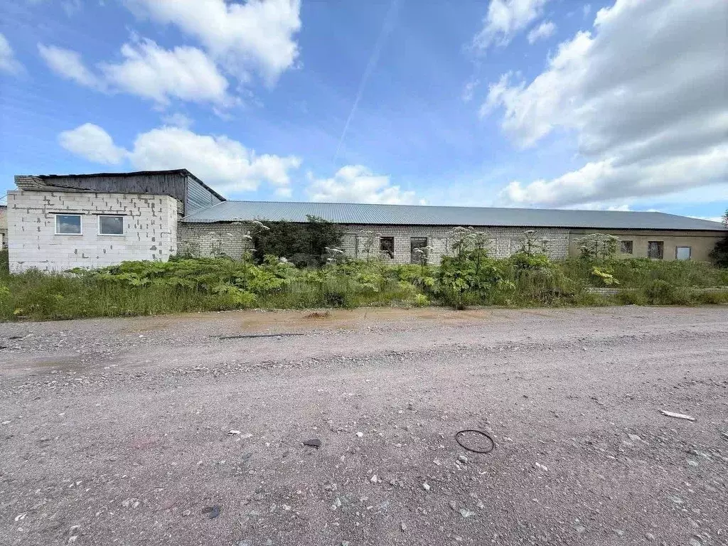 Помещение свободного назначения в Владимирская область, Петушинский ... - Фото 2