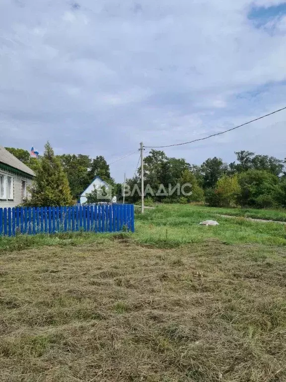 Участок в Воронежская область, Семилукский район, с. Землянск ул. ... - Фото 2