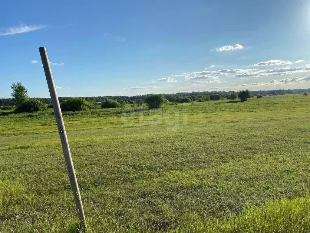 Участок в Тюменская область, Тюменский муниципальный округ, Каменское ... - Фото 1