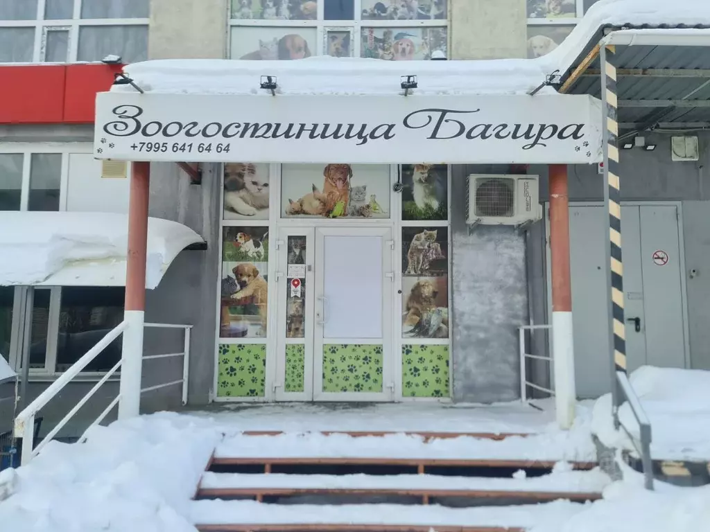 Помещение свободного назначения в Саратовская область, Саратов ... - Фото 1