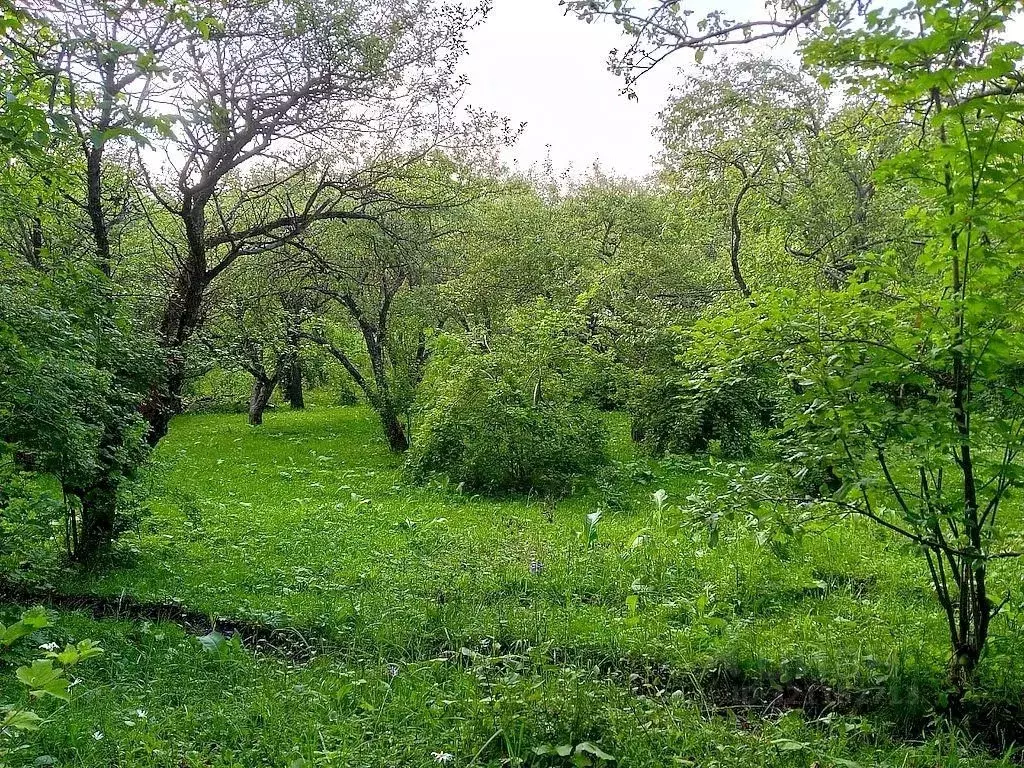 Участок в Ставропольский край, Кисловодск Нарзан СТ,  (10.57 сот.) - Фото 1