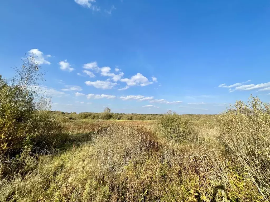 Участок в Московская область, Щелково городской округ, с. Душоново ул. ... - Фото 0