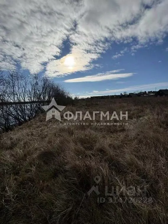 Участок в Иркутская область, Усольский район, Белореченское городское ... - Фото 0