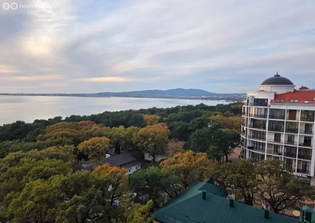 1-комнатная квартира: Геленджик, улица Мира, 40 (36 м) - Фото 2