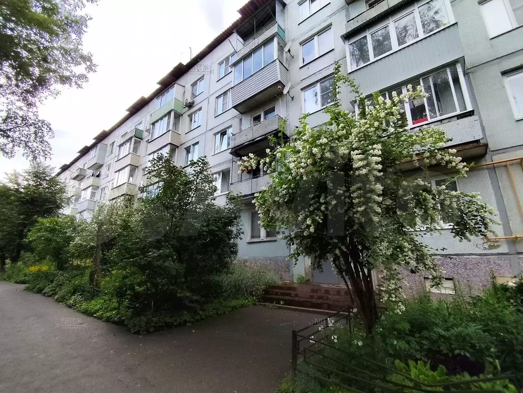 1-к. квартира, 31,1 м, 1/5 эт. - Фото 0
