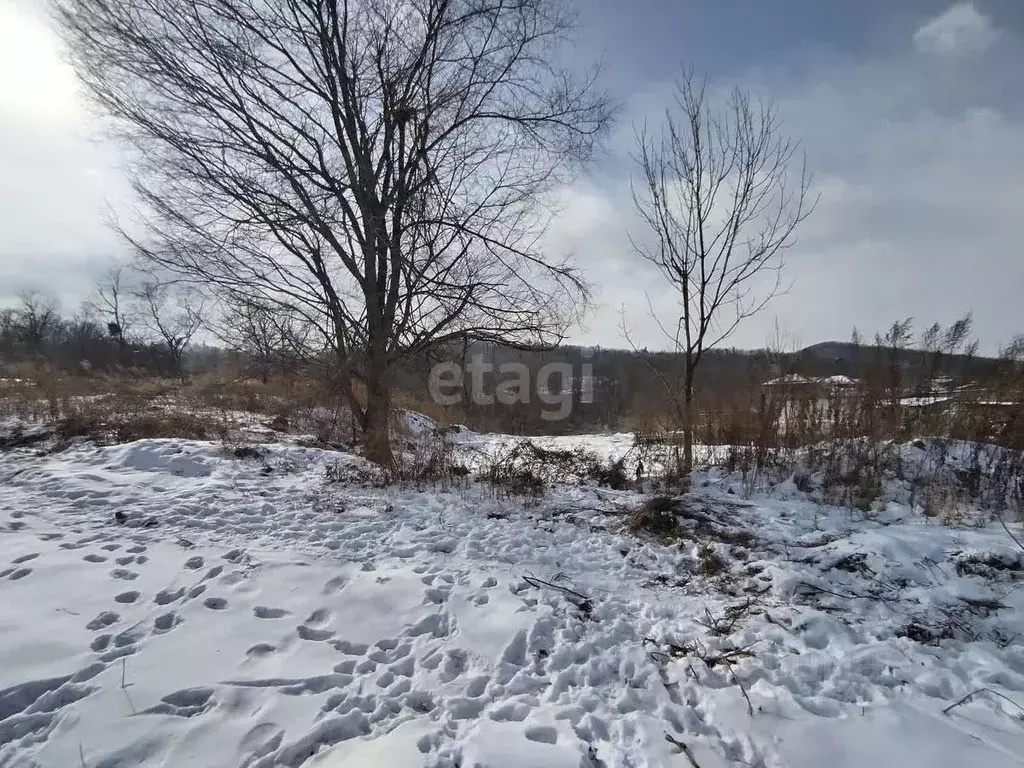 Участок в Приморский край, Владивосток Яблоневая ул. (21.9 сот.) - Фото 1