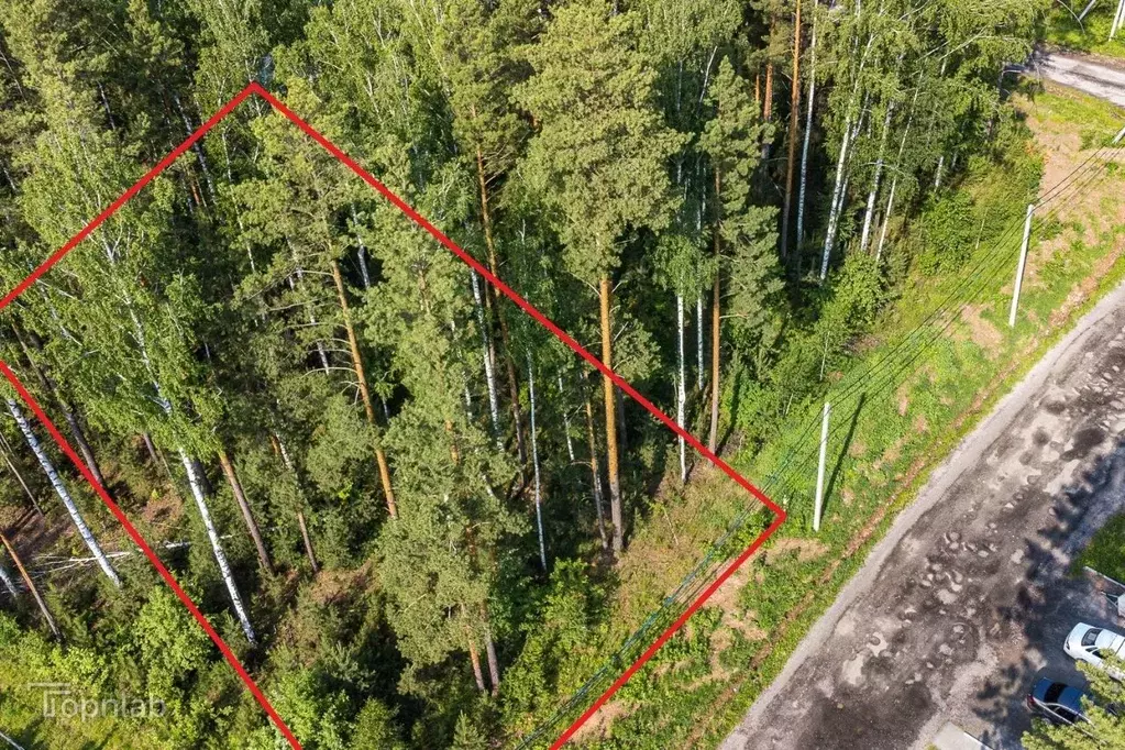 Участок в Свердловская область, Сысертский муниципальный округ, Клевер ... - Фото 2