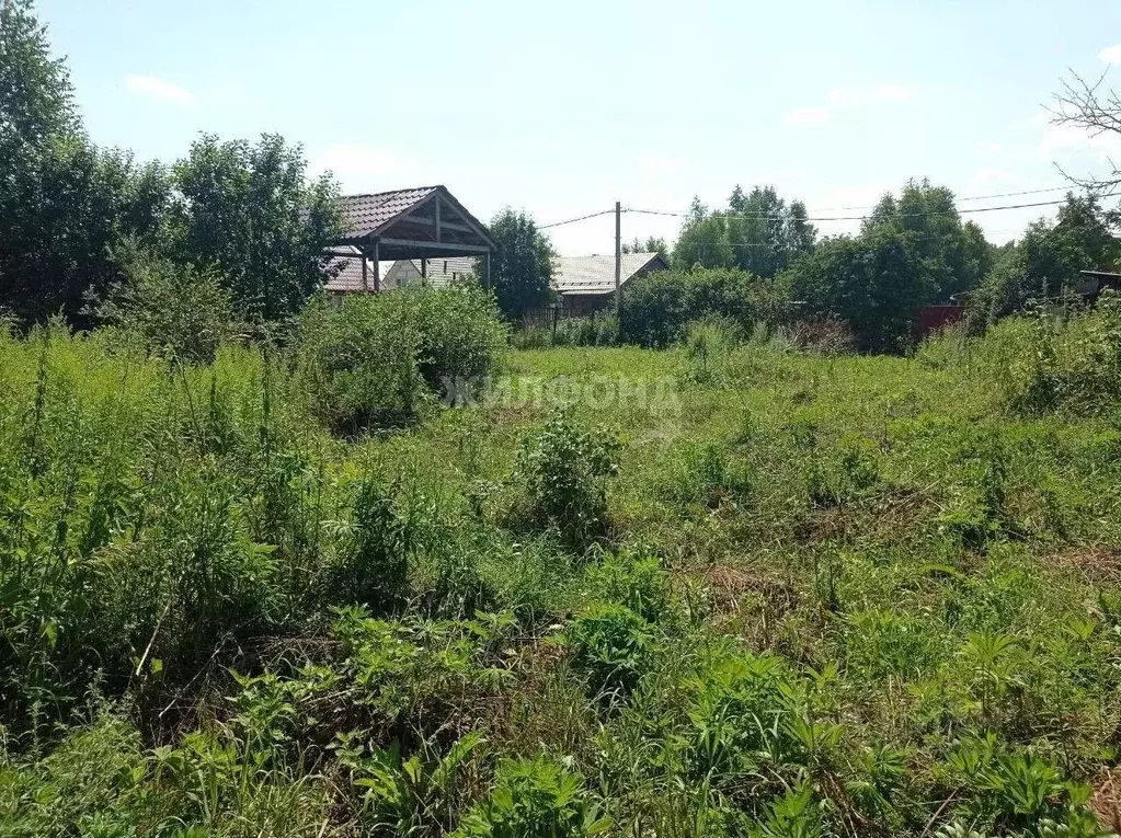 Участок в Новосибирская область, Новосибирский район, Каменский ... - Фото 1