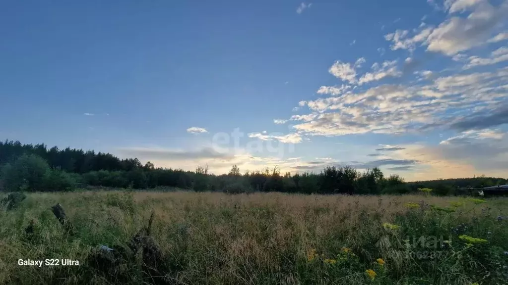 Участок в Свердловская область, Горноуральский пгт ул. Павловская ... - Фото 0