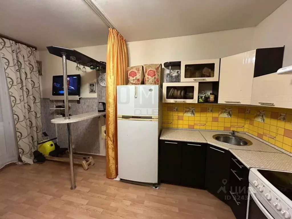 Студия Свердловская область, Белоярский муниципальный округ, с. ... - Фото 1