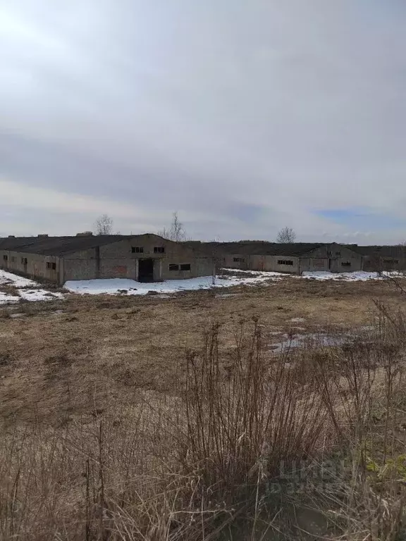 Помещение свободного назначения в Московская область, Коломна ... - Фото 1
