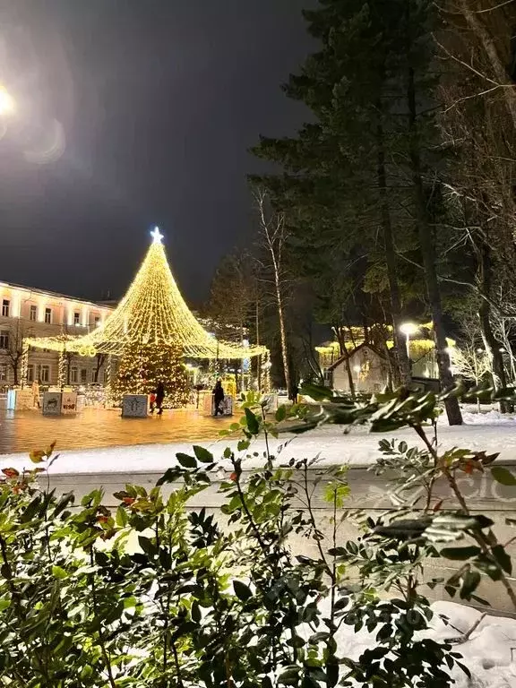 1-к кв. Калининградская область, Зеленоградск ул. Автомобилистов, 1 ... - Фото 1