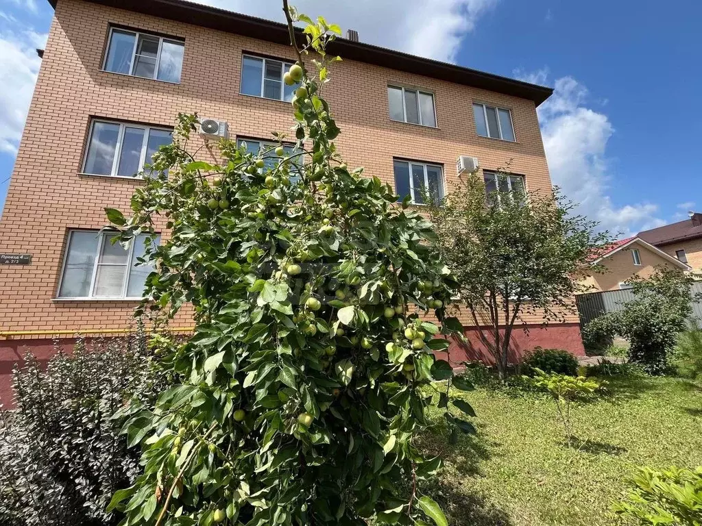 2-к кв. Оренбургская область, Оренбург Ростоши мкр, проезд 4-й, 2/3 ... - Фото 1