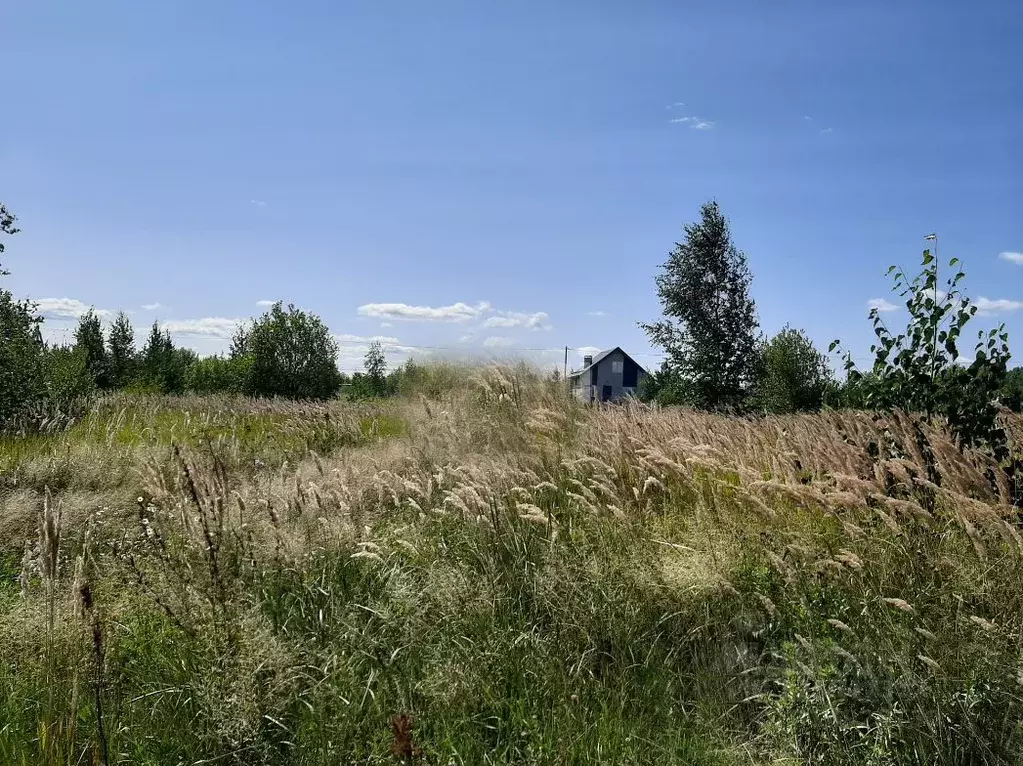 Участок в Московская область, Пушкино Заветы Ильича мкр, ул. ... - Фото 2