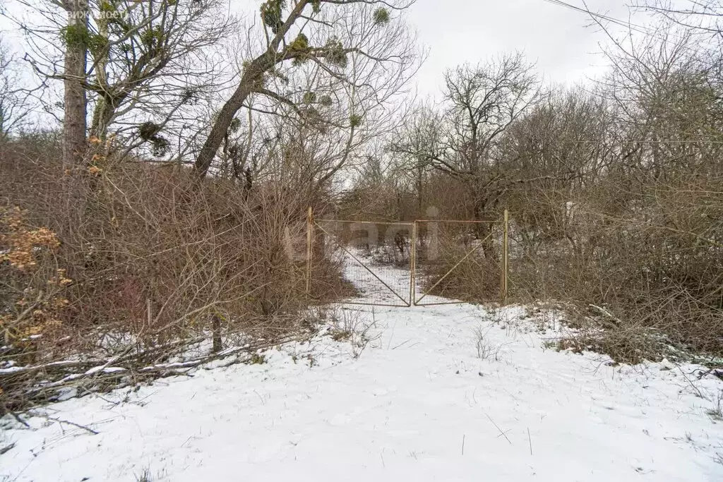 Участок в Бахчисарайский район, Скалистовское сельское поселение, село ... - Фото 2