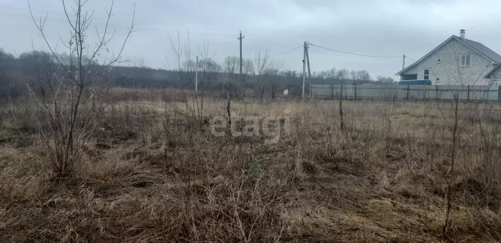 Участок в Воронежская область, Новоусманский район, с. Бабяково ... - Фото 1