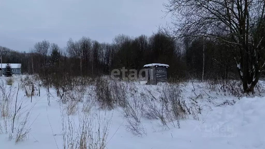 Участок в Владимирская область, Муромский район, с. Ковардицы 3-я ... - Фото 1