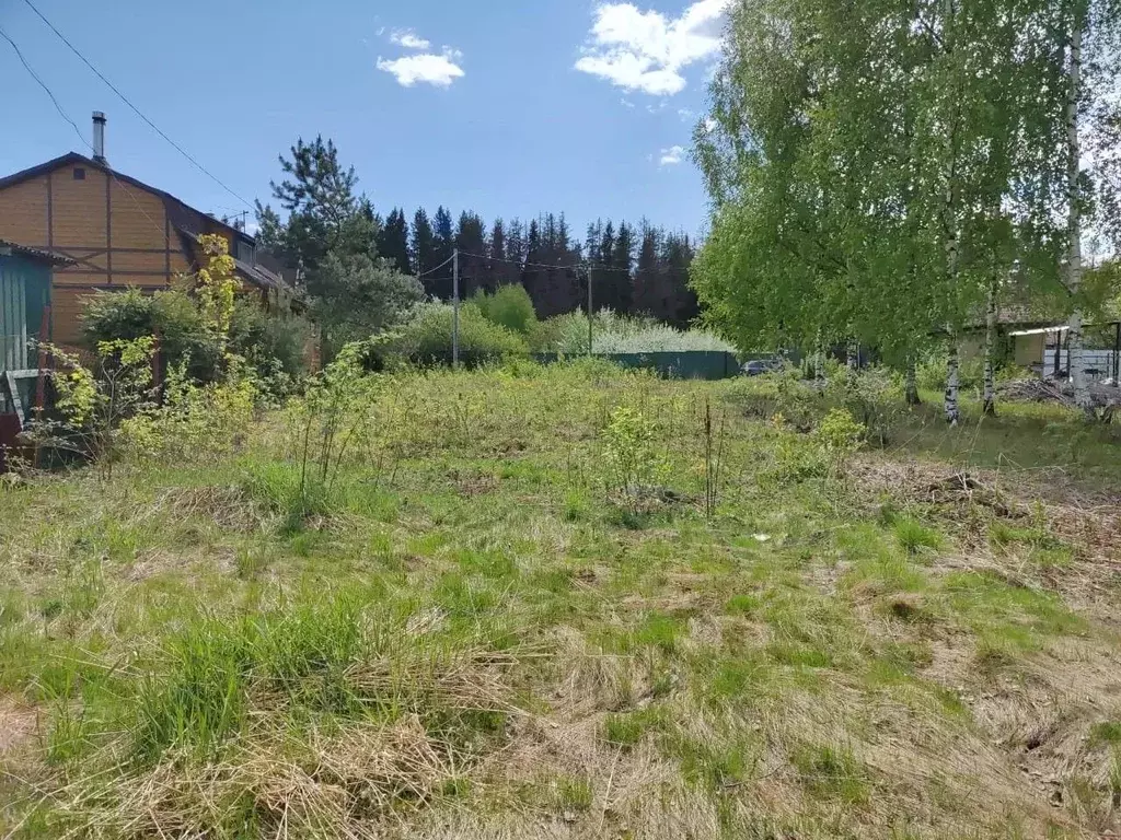 Участок в Ленинградская область, Выборгский район, Первомайское с/пос, ... - Фото 1