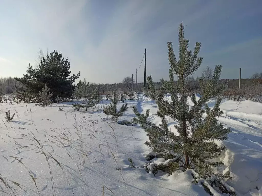 Участок в Костромская область, Кострома Соколиное Гнездо кп,  (10.0 ... - Фото 1